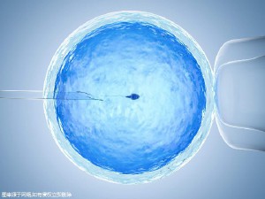 供卵试管选性别代生咨询
